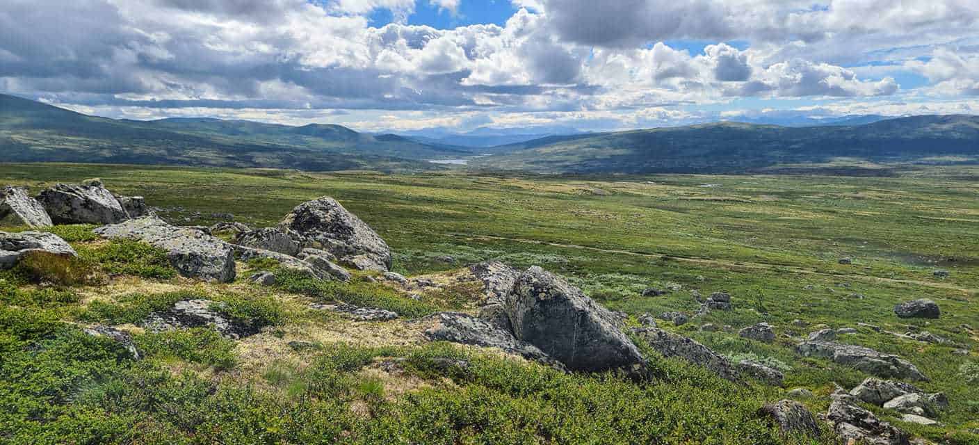 Dovrefjell-Sunndalsfjella National Park. Photo: Håvard Rosenlund